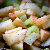 Celery, apple, and almond salad with pomegranate vinaigrette